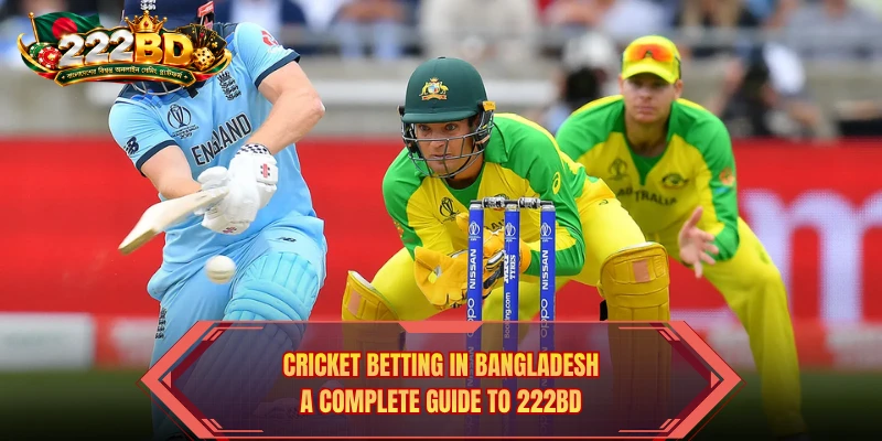 Cricket Betting In Bangladesh: A Complete Guide To 222BD