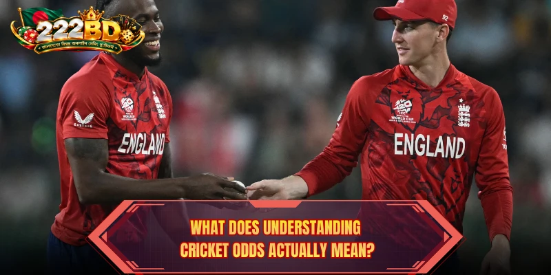 Understanding Cricket Odds with responsible analysis of changing match conditions